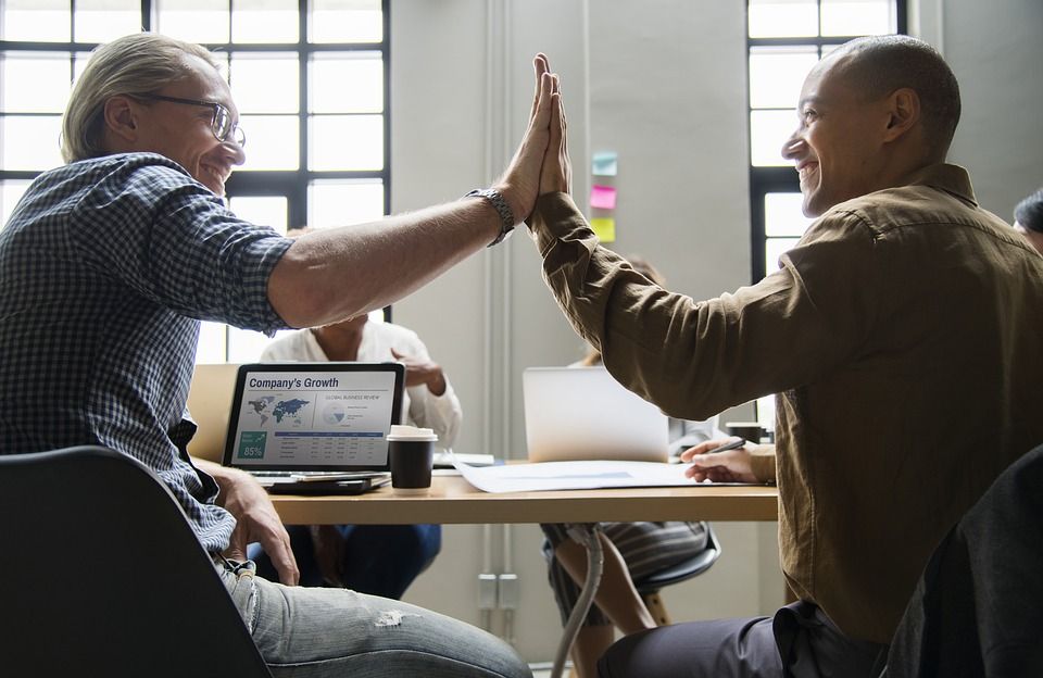 Diferencias entre Sociedad Limitada y Sociedad Anónima- Taxa Asesores, Madrid
