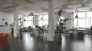 Transformar tu empresa en sociedad limitada - Asesoría para Autónomos en Madrid - Taxa Asesores